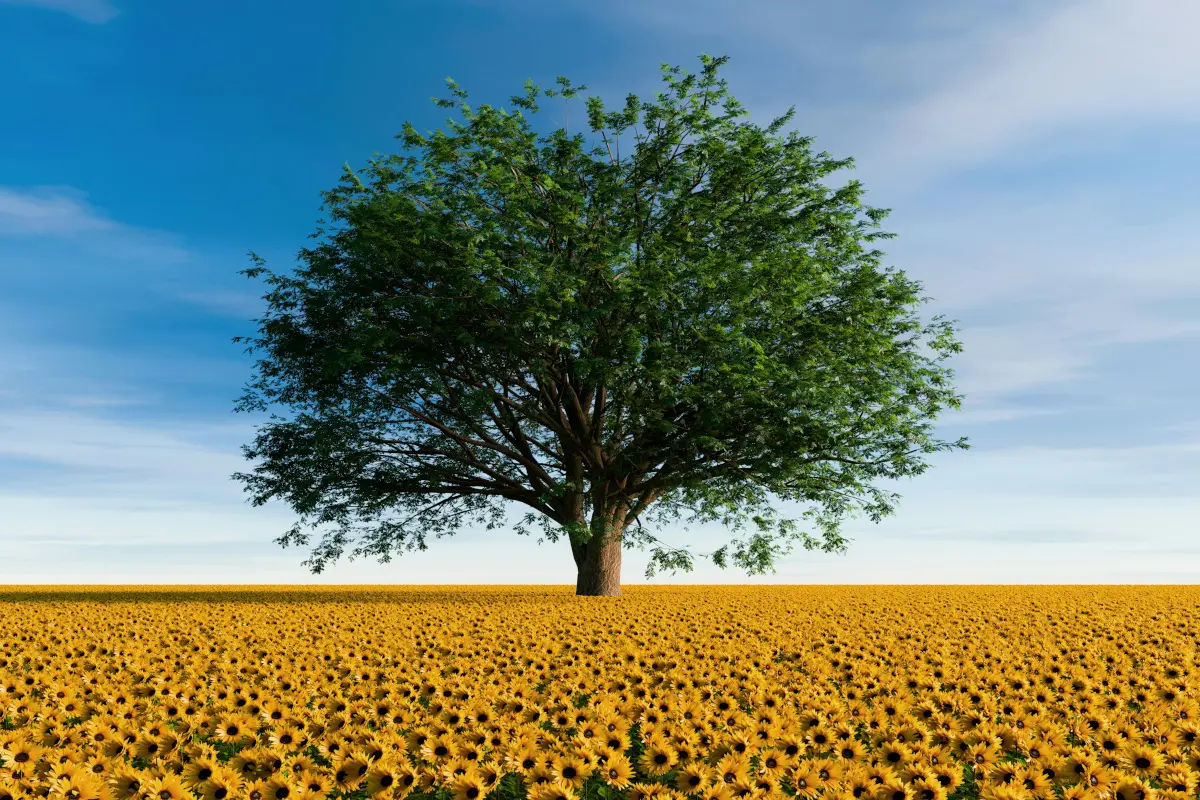 Sunflowertree